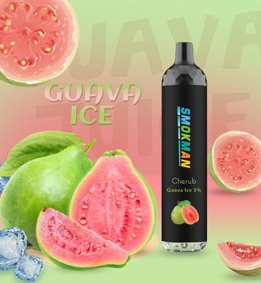 Guava Ice E Liquid Healthy E Cig 10ml 4500 Puff Hyde Mesh Oil